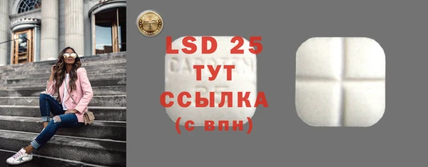 стаф Снежногорск