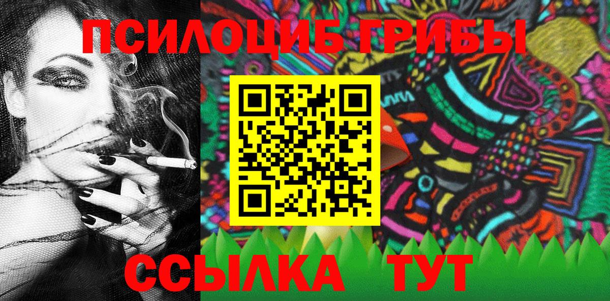 Псилоцибиновые грибы GOLDEN TEACHER Вичуга